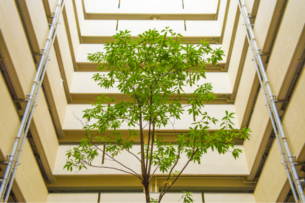 A tree in a sustainable building design for natural ventilation.