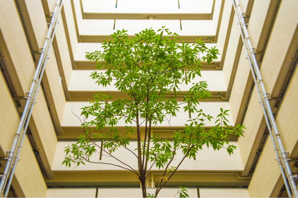 HVAC In Sustainable Building Design: Efficiency For Commercial Buildings 3 A tree in a sustainable building design for natural ventilation.